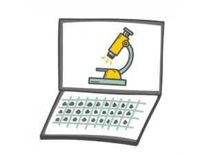 online-Praktikum
